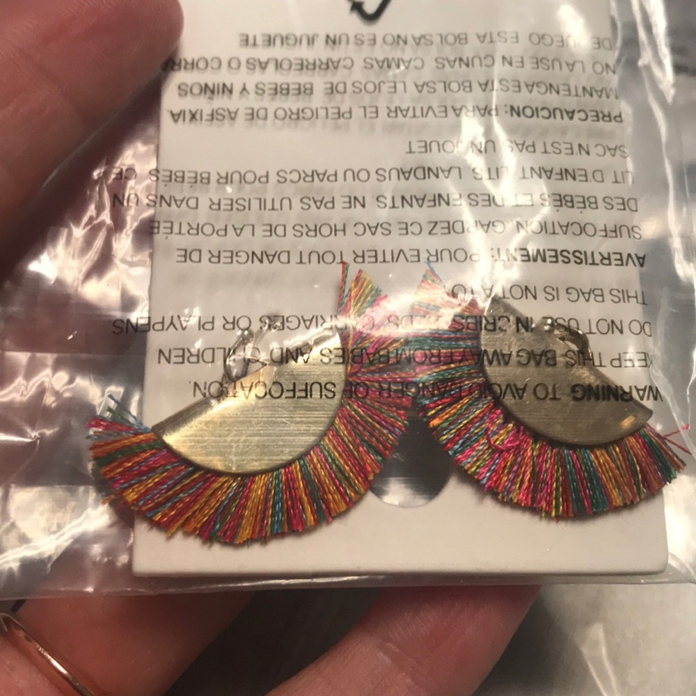 Earrings
